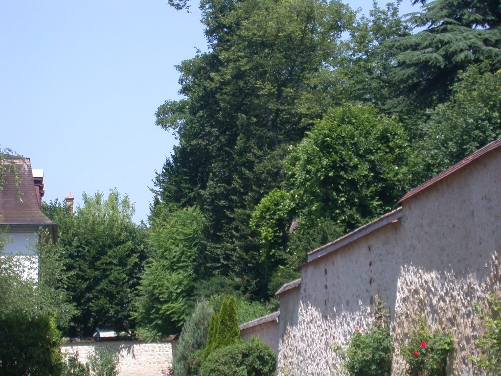 jardin02
