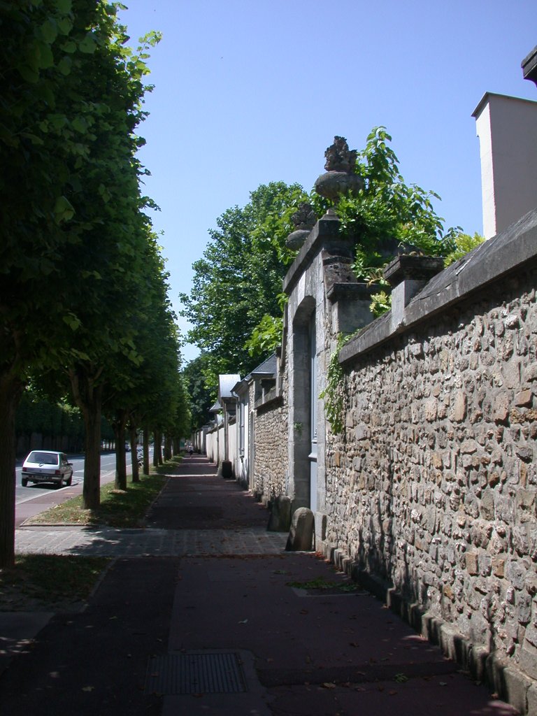 jardin078
