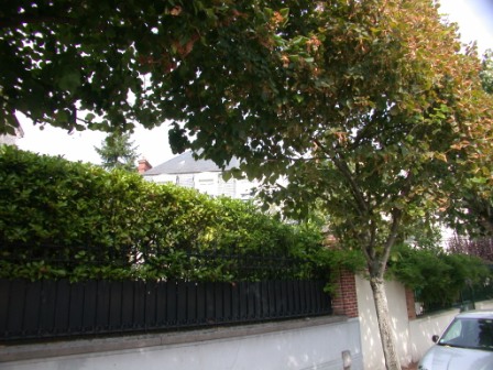 jardin12