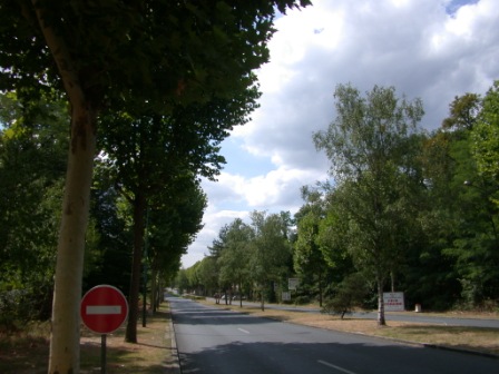jardin18