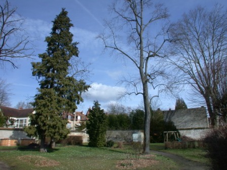 jardin24