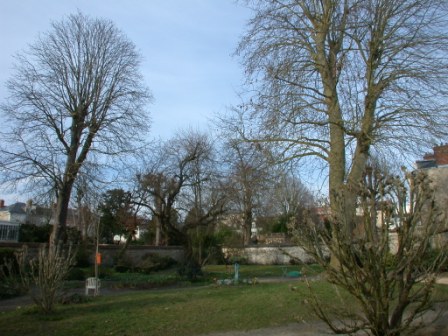jardin25