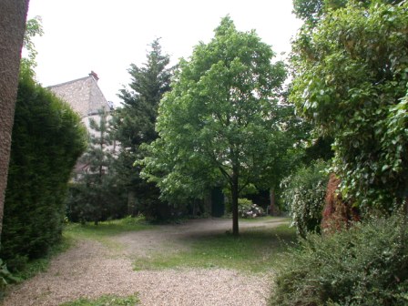 jardin33