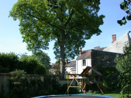 jardin38