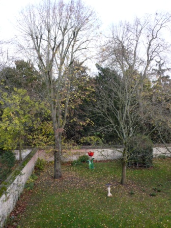 jardin45