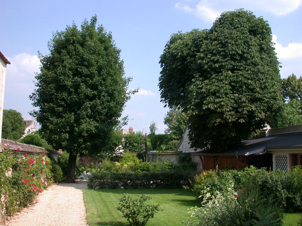 jardin51