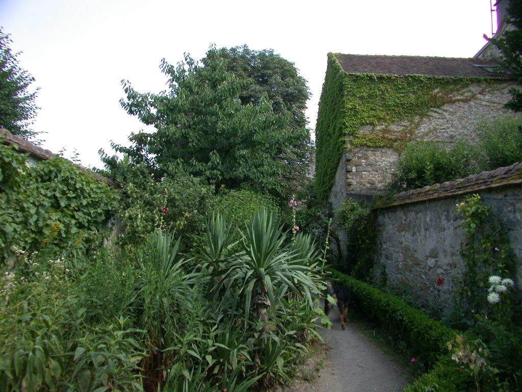 jardin52