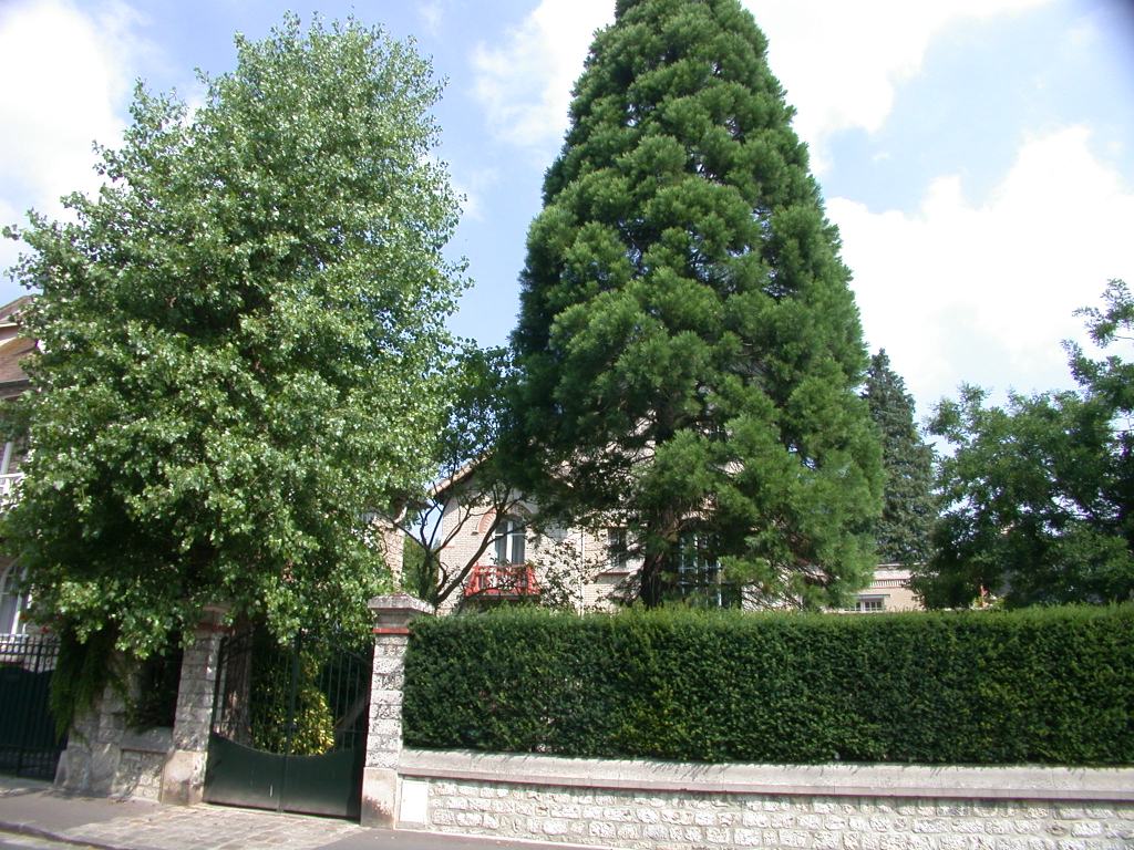 jardi53