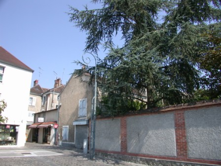 jardin56