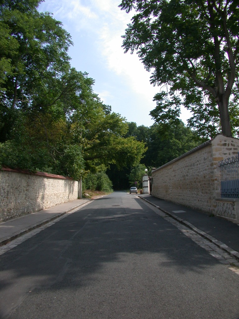 jardin64