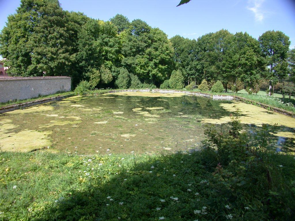 Le Miroir dans le parc