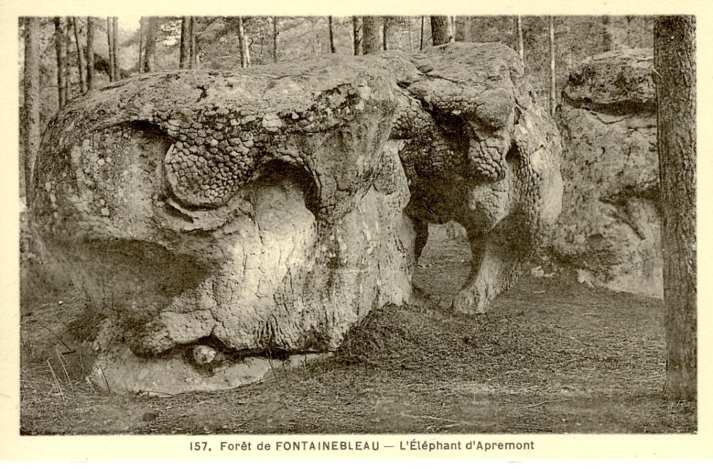 Les Grès de la forêt de Fontainebleau